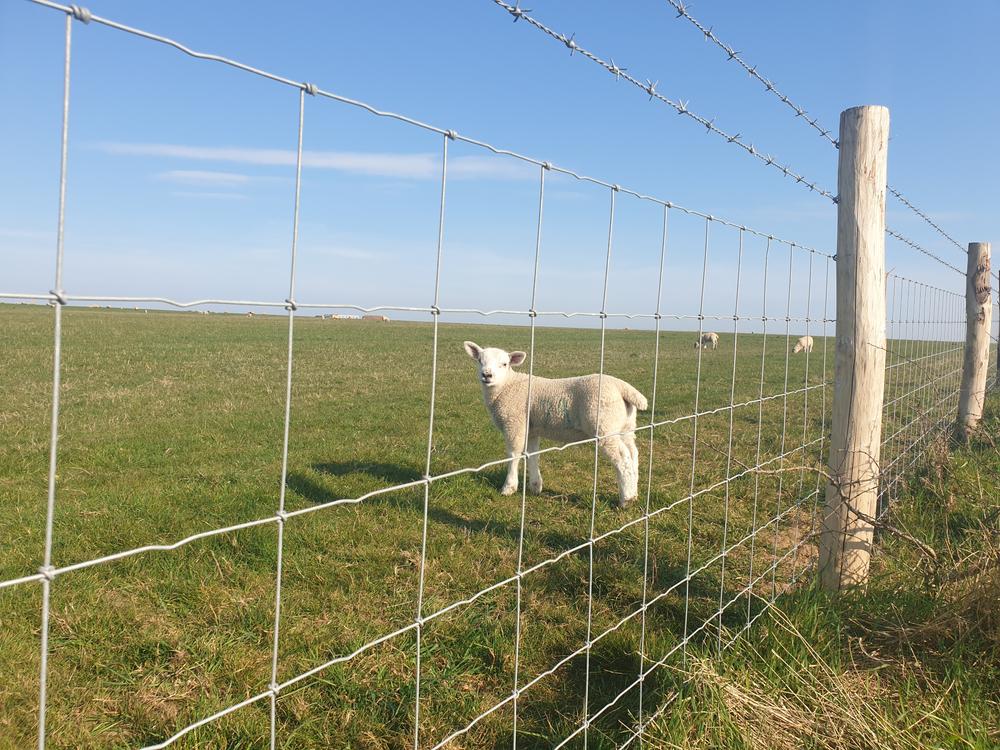Wire Fencing Guide Working with Tornado Stowag