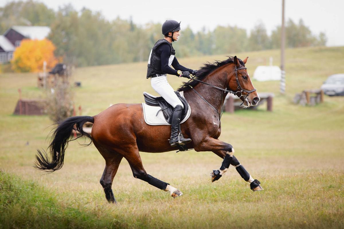What is horse eventing? A guide to the equestrian star rating system