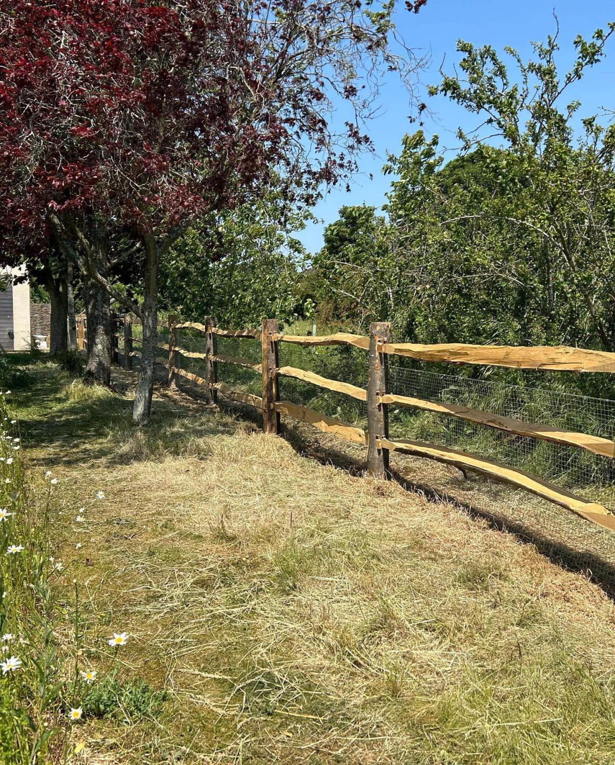 Fencing timber: choosing the right timber fencing supplies