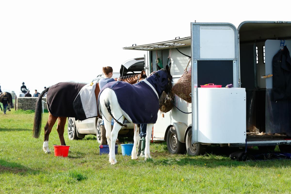 Best practices for traveling horses safely in a trailer or horsebox