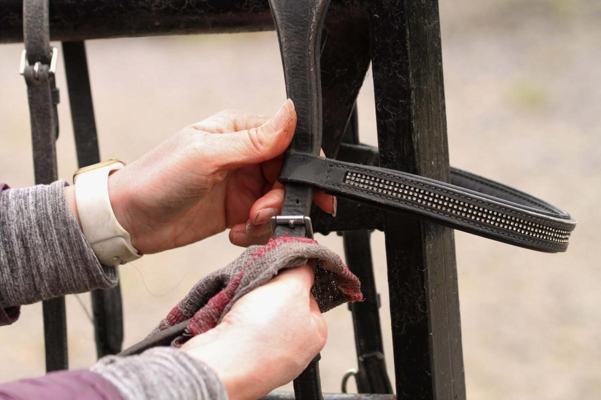 Horse tack cleaner: Carr & Day & Martin saddle & bridle cleaner & conditioner