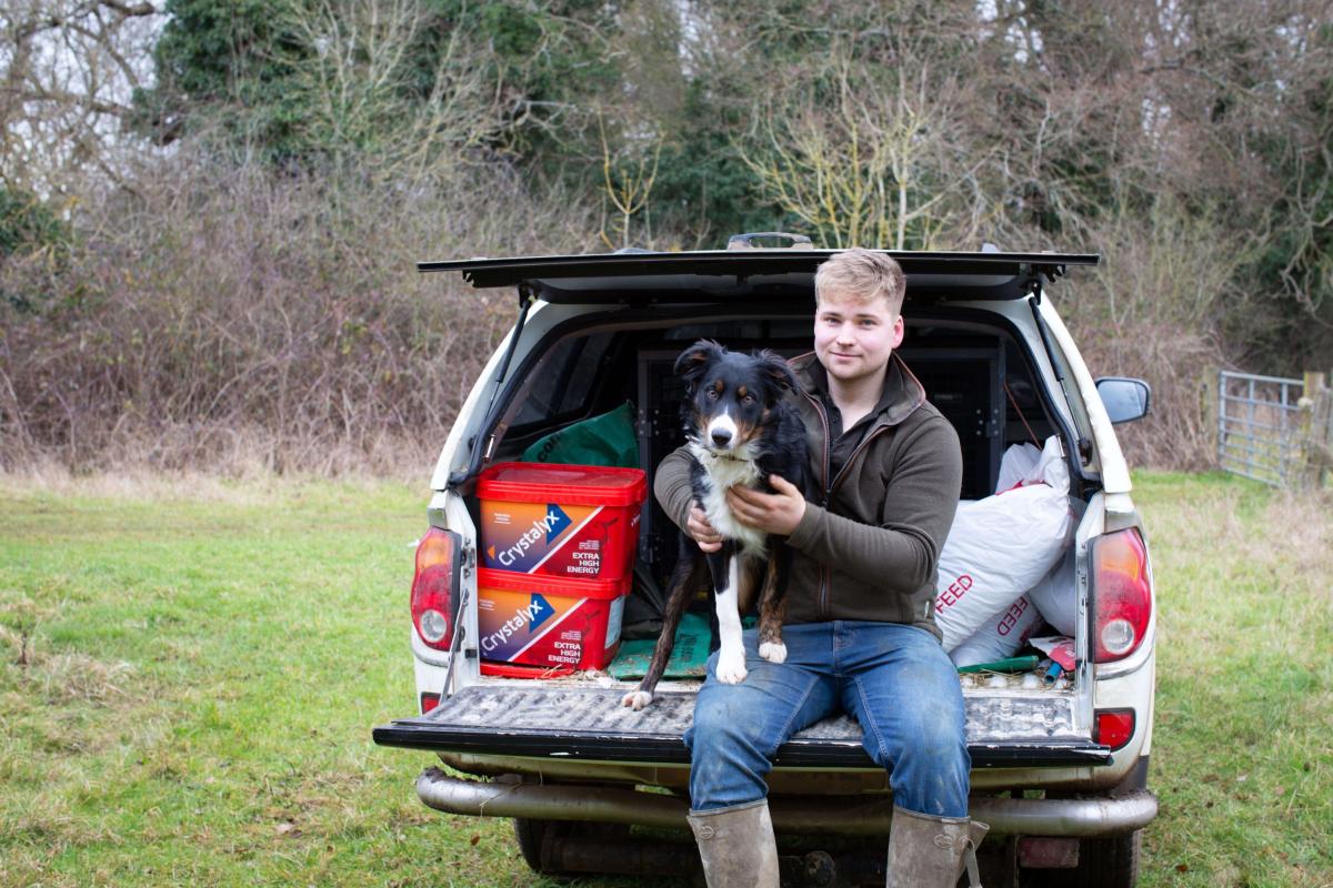 Experimentation Points To Crystalyx sheep feed block For Long-Lasting Performance