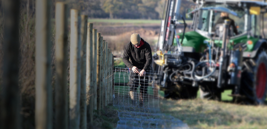 Winter Fencing