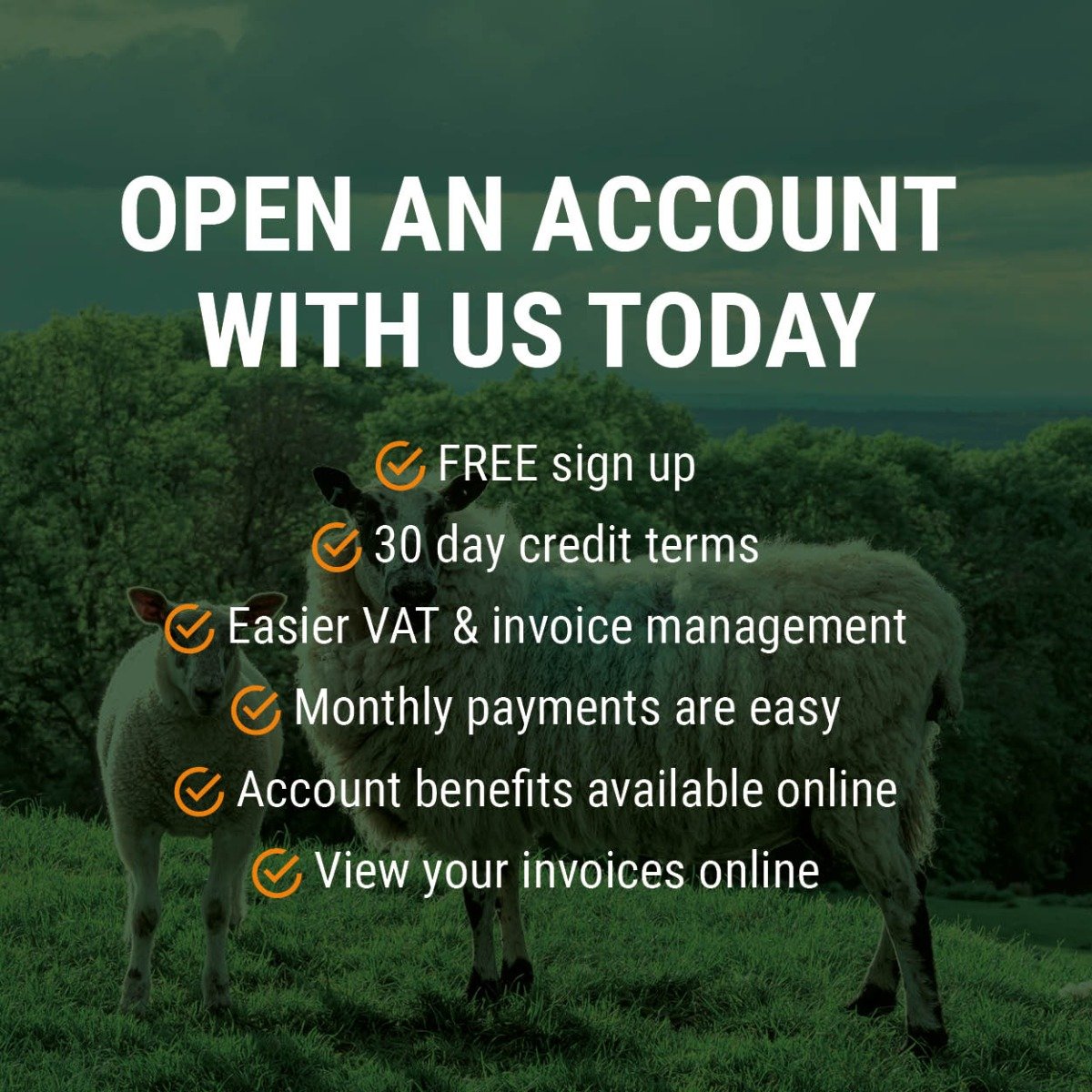 sheep-account-benefits