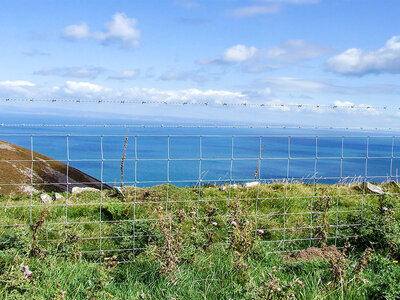 Fencing & Gates