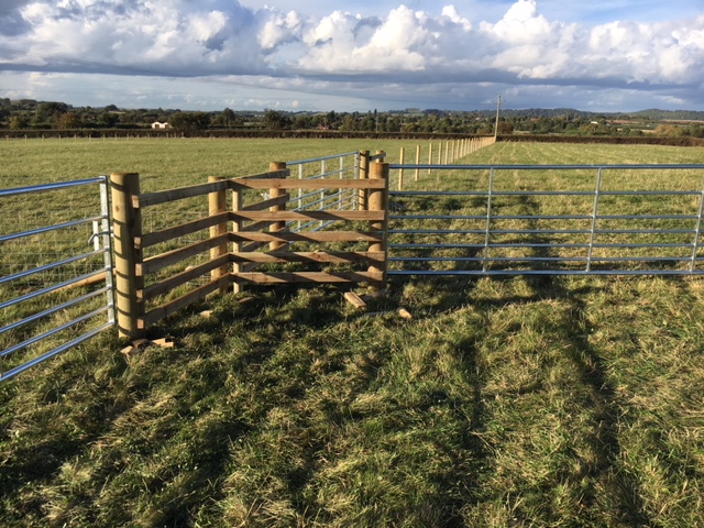 Timber and fencing