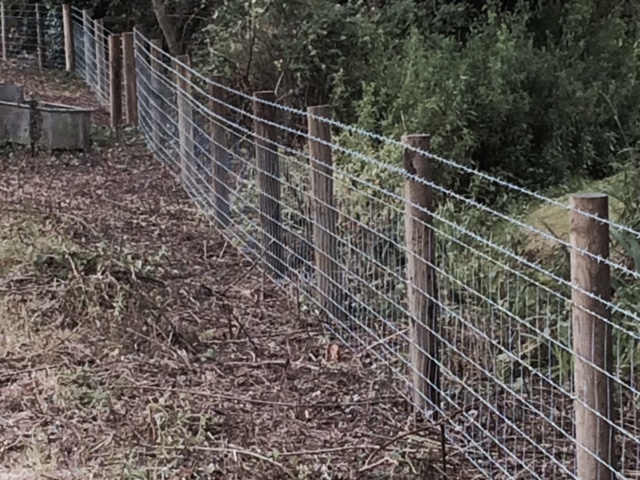 Timber and fencing
