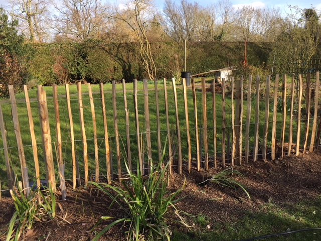 Timber and fencing