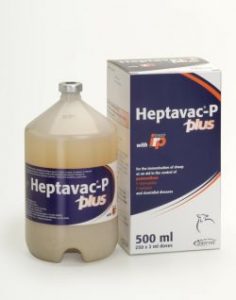 Heptavac