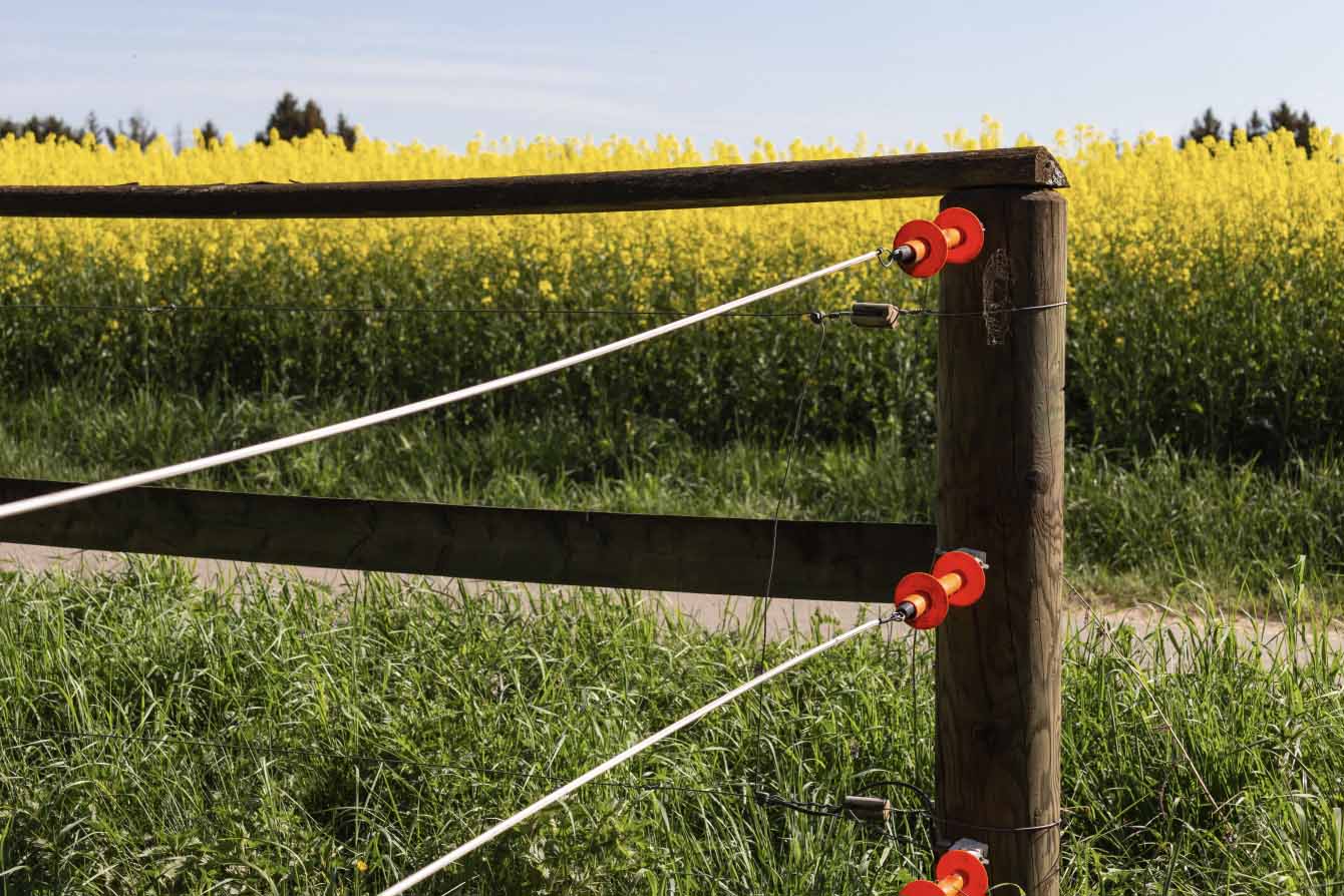 Electric fencing at turnout - The Fence & Best Set-up for You