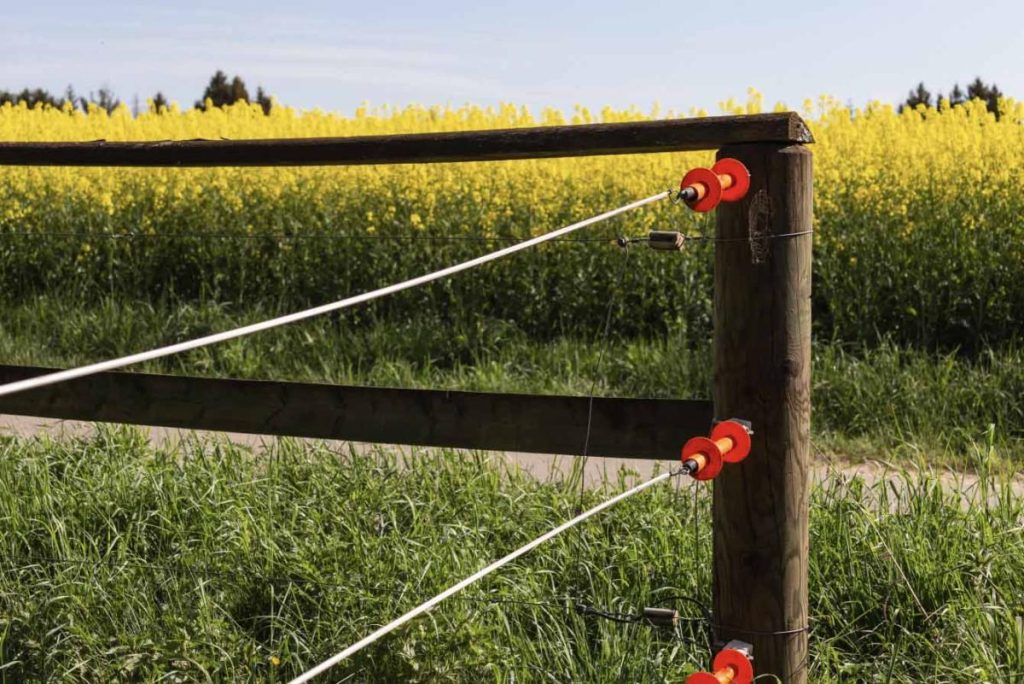 A example of quality electric fencing on a farm.