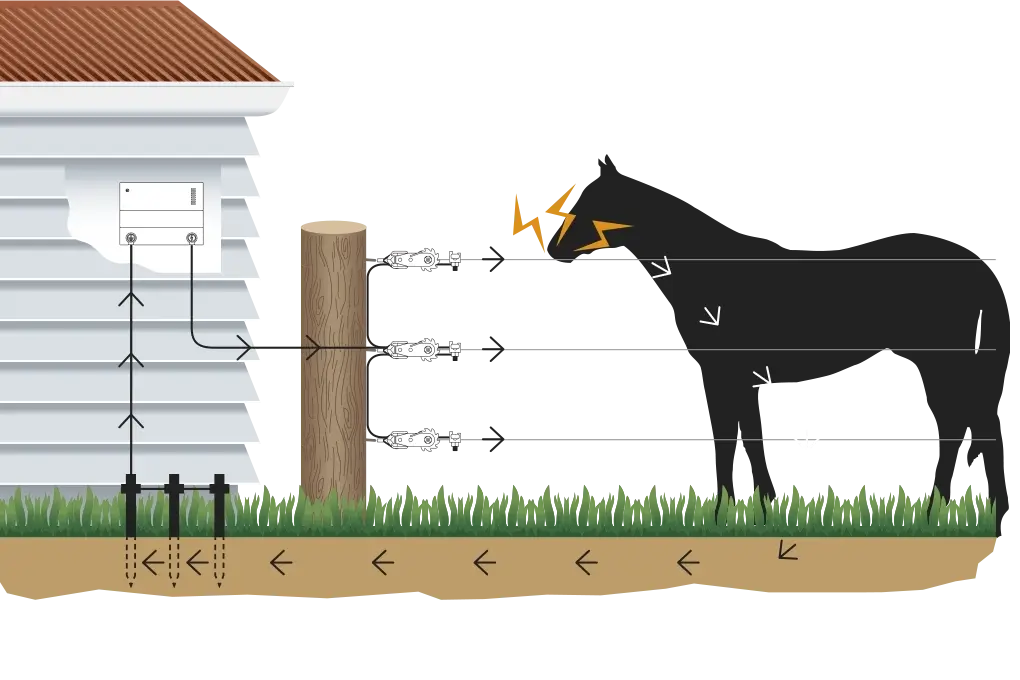 Horse electric fencing