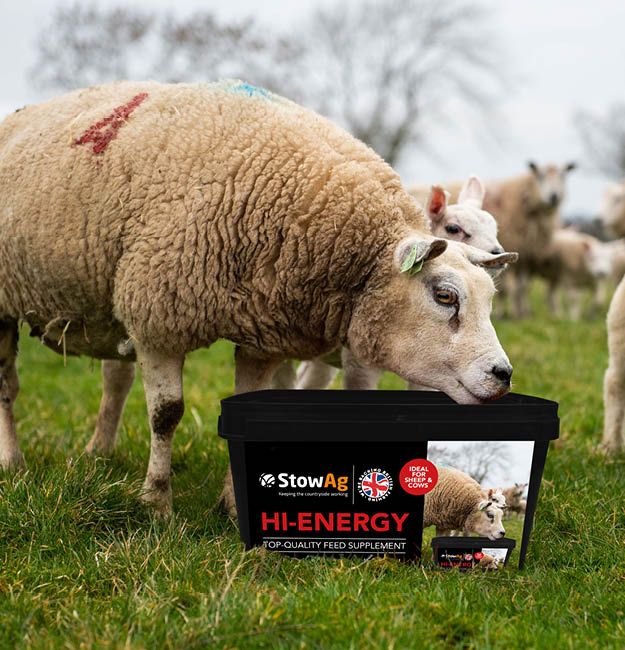 StowAg hi-enegy sheep lick